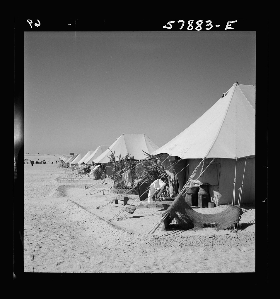 View (under bright sunlight) down a line of large tents erected on sand, with their guy-ropes spreading out around them. The nearer tents have a sand embankment a few inches high raised around them, just outside the tent pegs, to mark out 'gardens'. Within these there are small raised beds close to the tents with tall plants growing.